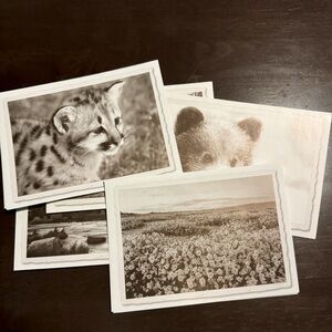 Five Sierra Club Blank Folded Cards w/o Envelope Sepia Tone Tint Animals Nature